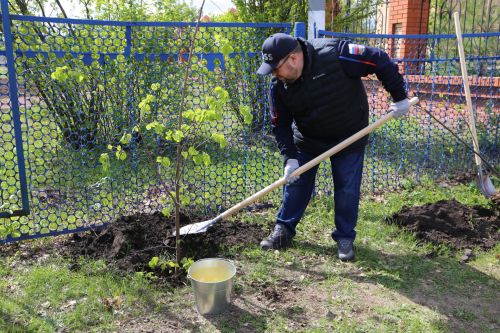 В Алексеевском районе прошла акция «Посади дерево», приуроченная к Году семьи