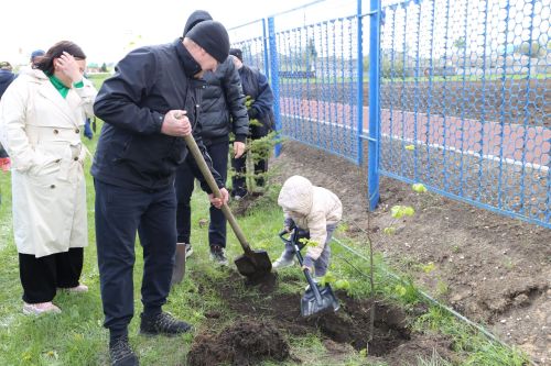 В Алексеевском районе прошла акция «Посади дерево», приуроченная к Году семьи