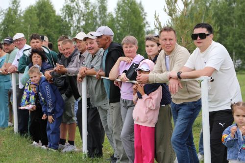 В Алексеевском отметили Сабантуй