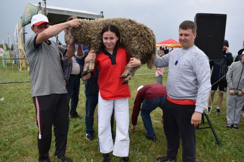 В Алексеевском отметили Сабантуй