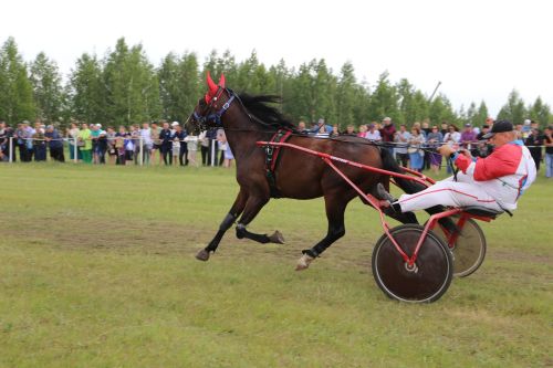 В Алексеевском отметили Сабантуй