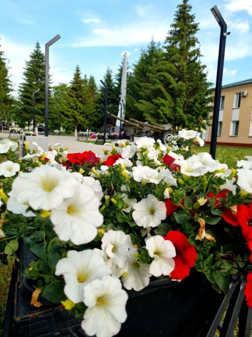 Прогноз погоды на 31 июля