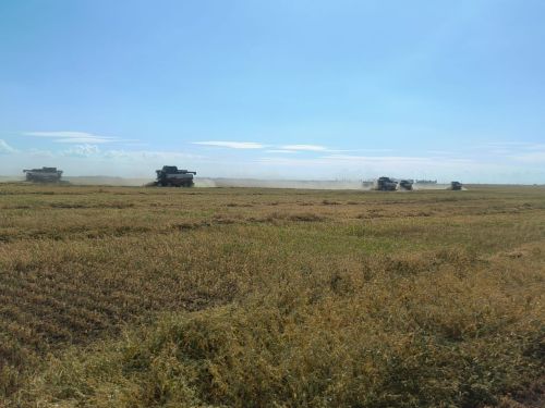 В Татарстане намолочен первый миллион тонн зерна