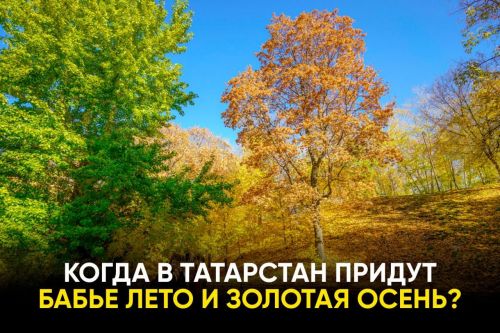 Когда в Татарстан придёт бабье лето