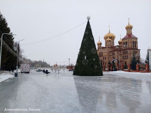 Погода в Алексеевском на 16 января