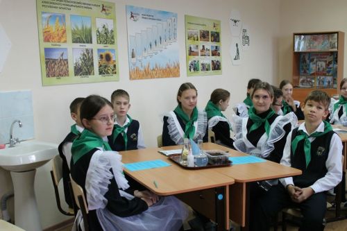 Развитие аграрного сектора Алексеевского района выходит на новый уровень