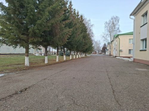Прогноз погоды в Алексеевском на 20 ноября
