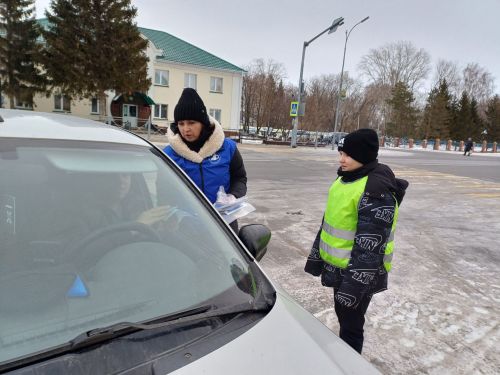 Юные инспекторы Алексеевского района напомнили о безопасности на зимних дорогах