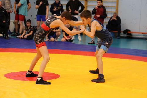 В Алексеевском прошли соревнования по вольной борьбе, посвящённые памяти участника СВО