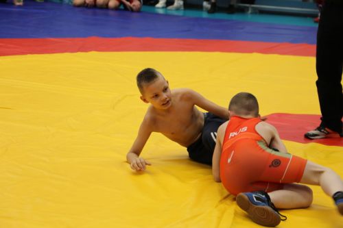 В Алексеевском прошли соревнования по вольной борьбе, посвящённые памяти участника СВО