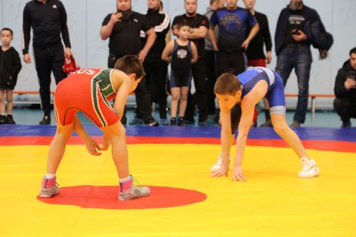 В Алексеевском прошли соревнования по вольной борьбе, посвящённые памяти участника СВО