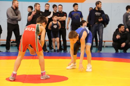 В Алексеевском прошли соревнования по вольной борьбе, посвящённые памяти участника СВО