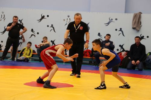 В Алексеевском прошли соревнования по вольной борьбе, посвящённые памяти участника СВО