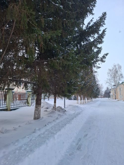 Прогноз погоды в Алексеевском на 22 февраля