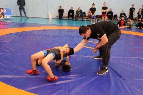 В Алексеевском прошли соревнования по вольной борьбе, посвящённые памяти участника СВО