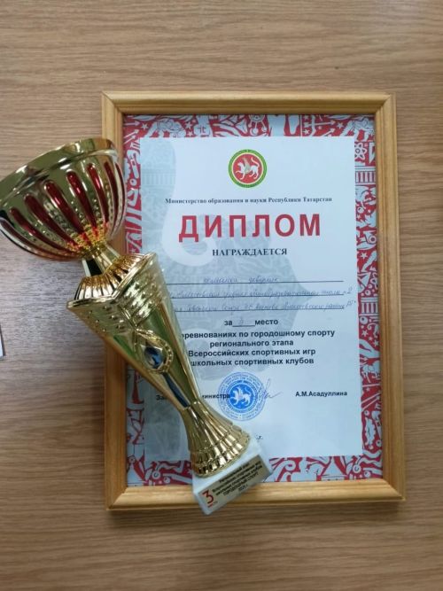 Алексеевские спортсмены выступили достойно на спортивных играх