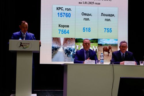 В Алексеевском районе прошёл традиционный съезд пчеловодов