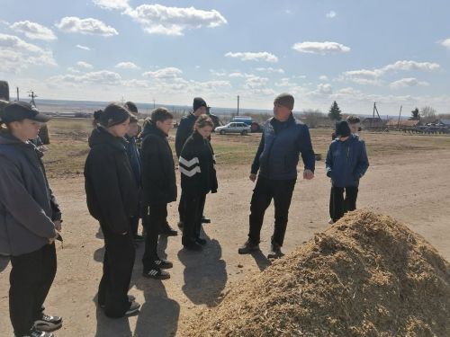Школьники Алексеевского района узнали секреты успешного фермерства