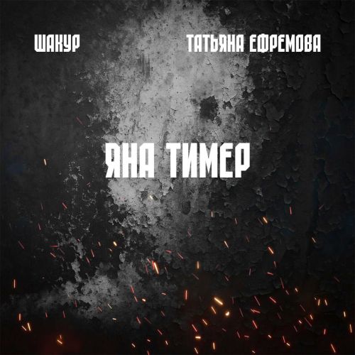 Артисты из Татарстана представили патриотическую песню ко Дню Победы