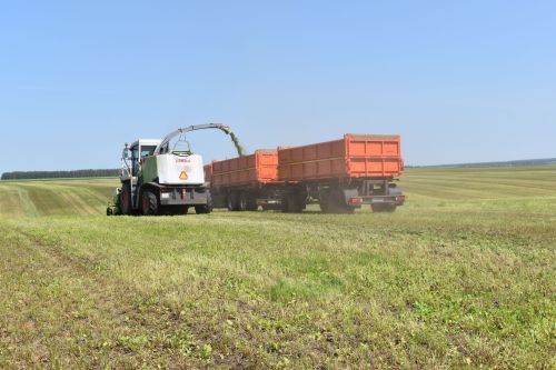 В Алексеевском районе завершилась посевная кампания и началась заготовка кормов