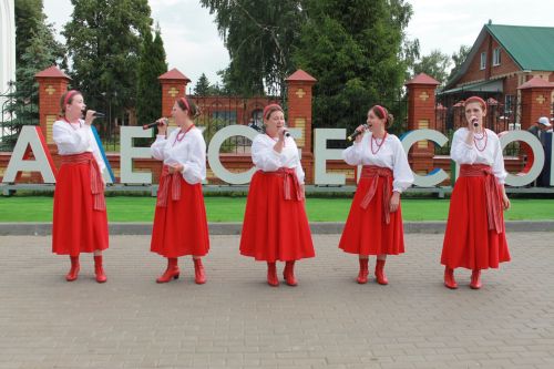 В Алексеевском ярко отметили День России