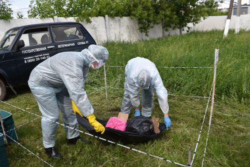 Учения по чрезвычайной ситуации в Алексеевском прошли успешно