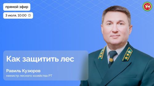 Леса под защитой: в прямом эфире расскажут о сохранении зелёного богатства Татарстана