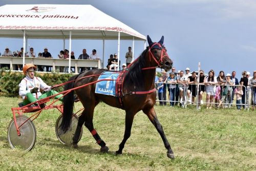 В Алексеевском районе впервые прошли масштабные скачки