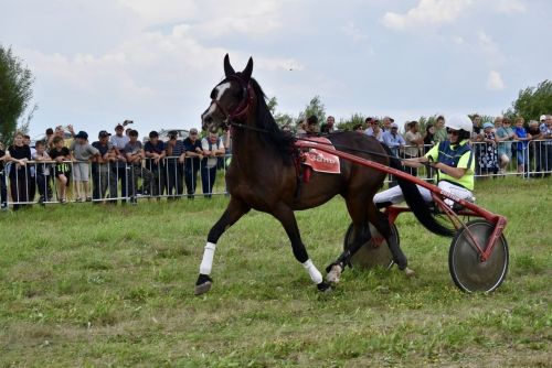 В Алексеевском районе впервые прошли масштабные скачки