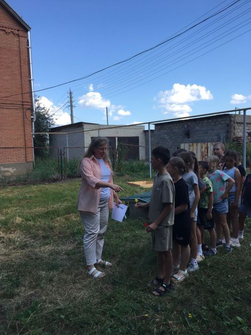 В лагере «Солнышко» прошёл яркий и познавательный день