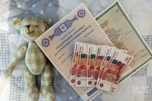 В России ускорили выдачу материнского капитала