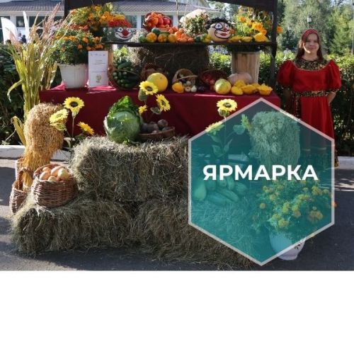 В Казани стартует ежемесячная ярмарка «Изобилие»