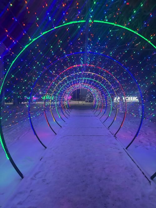 Прогноз погоды в Алексеевском на 20 января