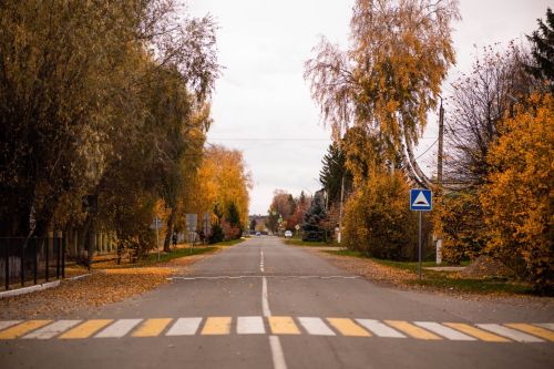 Прогноз погоды в Алексеевском районе на 24 октября