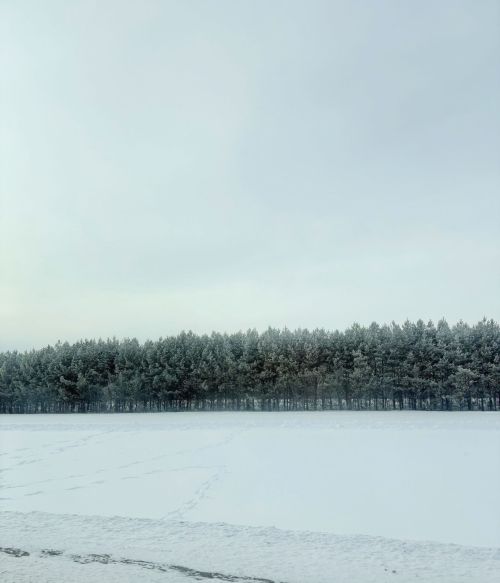 Прогноз погоды в Алексеевском на 10 февраля