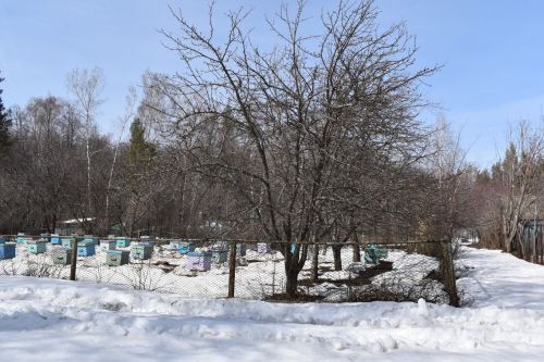 Прогноз погоды в Алексеевском на 13 марта