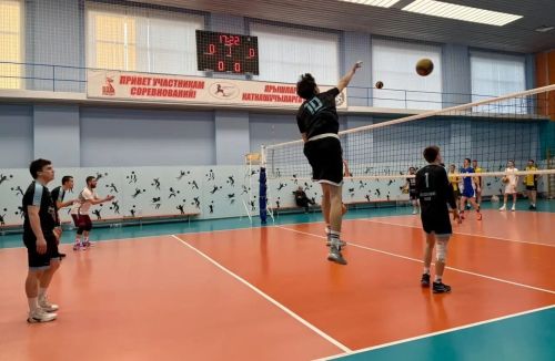 В Алексеевском прошел XXXIII турнир по волейболу памяти Германа Боровикова