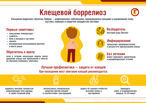 Почему болезнь Лайма долго не замечали и чем она опасна сегодня