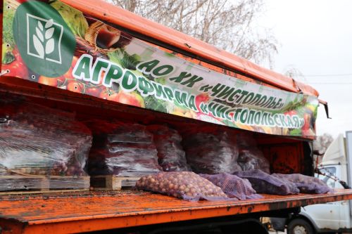 Ярмарка урожая в Алексеевском районе