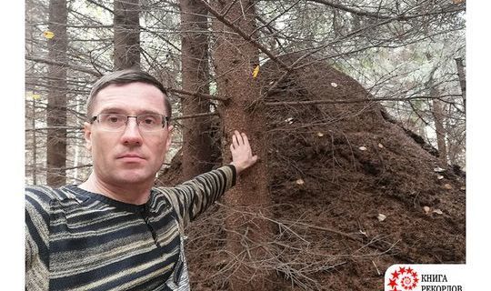 Журналист из «Татмедиа» зарегистрировал самый крупный муравейник в Книге рекордов России