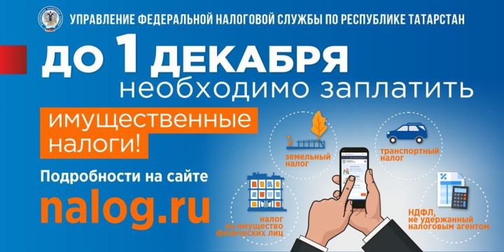 Алексеевцам необходимо оплатить имущественные налоги до 1 декабря