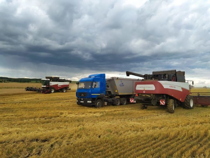 3 млн тн зерна собрали аграрии Татарстана