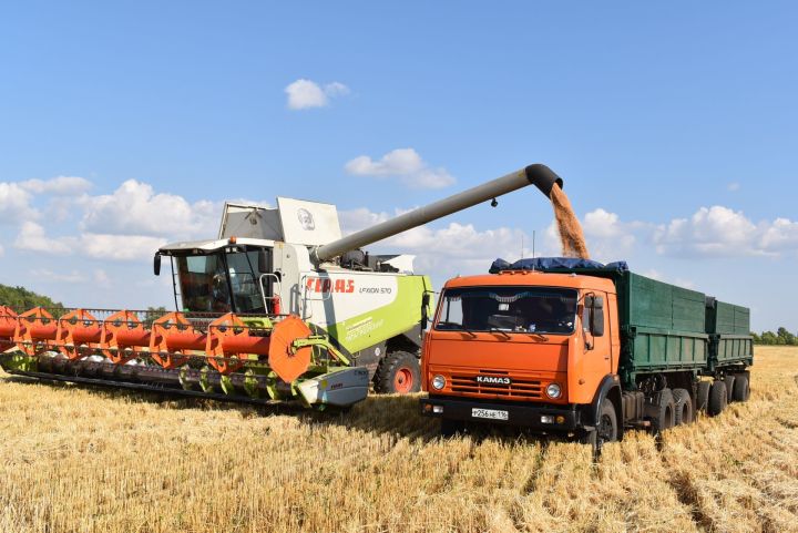 Татарстанские хлеборобы: "Первый миллион урожая есть!"