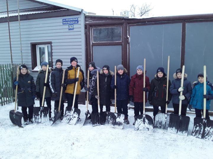 В Алексеевском районе "Снежный десант" помог пожилым