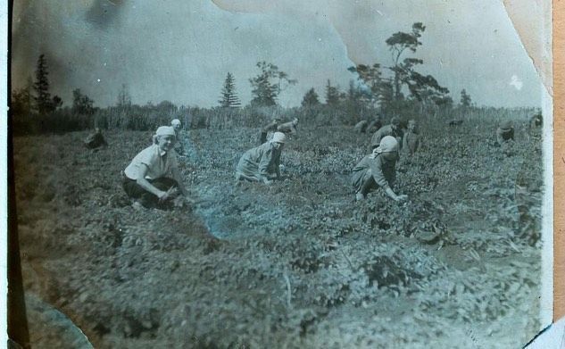 Предлагаем вниманию подписчиков архивные фотографии нашего района