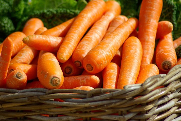 Чем лучше подкормить морковь в августе