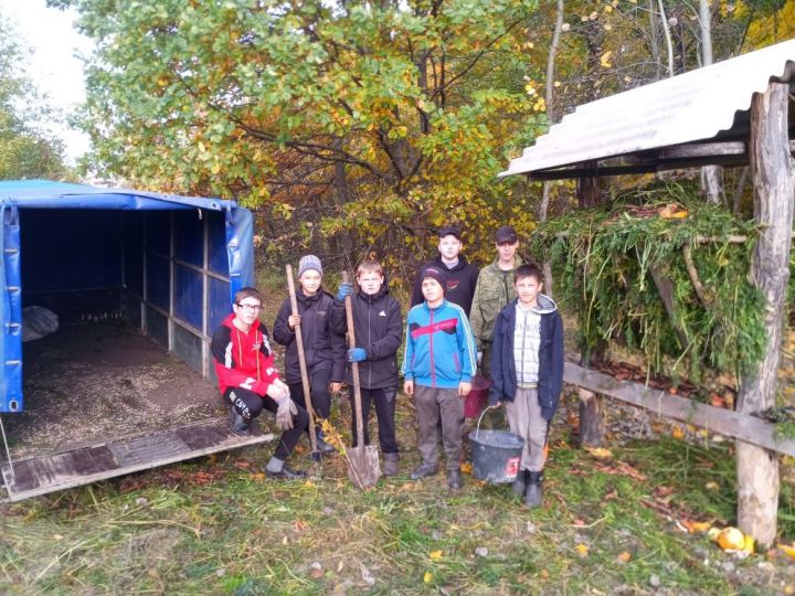 Ученики Родниковской школы приняли участие в акции по подкормке диких животных