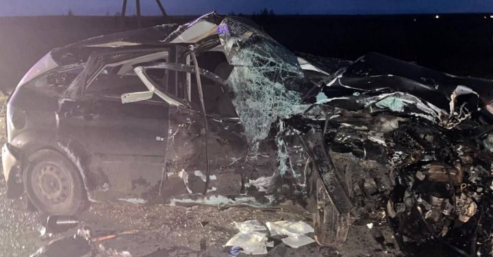 В результате ДТП в Новошешминском районе погиб водитель