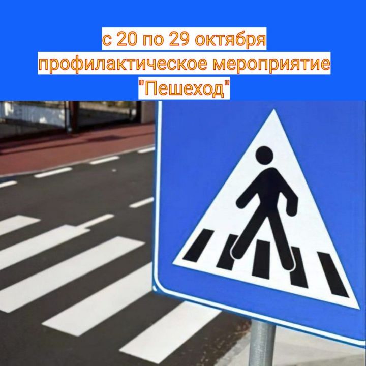 В Алексеевском стартовала профилактическая акция «Пешеход».