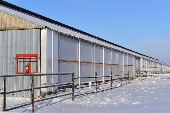 В Алексеевском районе обсудили зимовку крупного рогатого скота